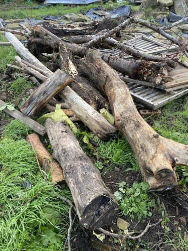 Logs delivered more than - more, one