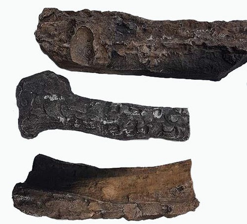 Gas coal fire logs - gas,